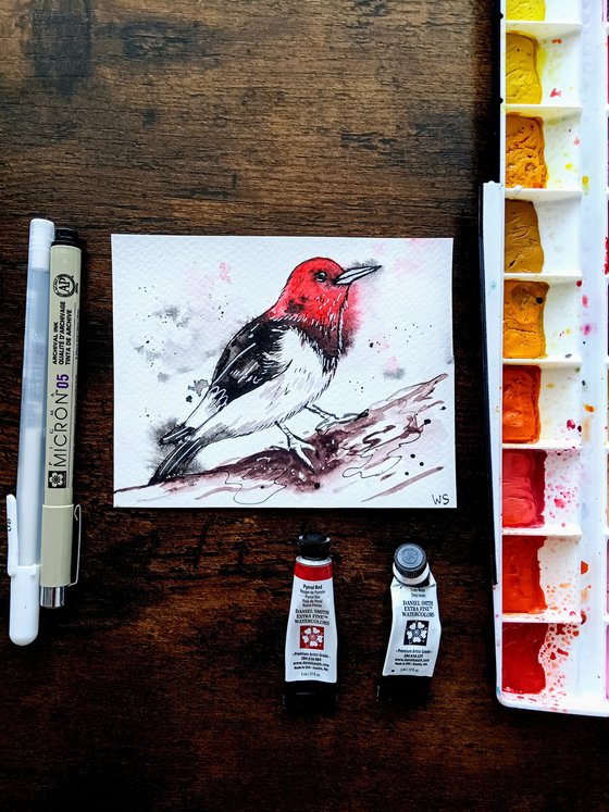 Red-headed woodpecker #3