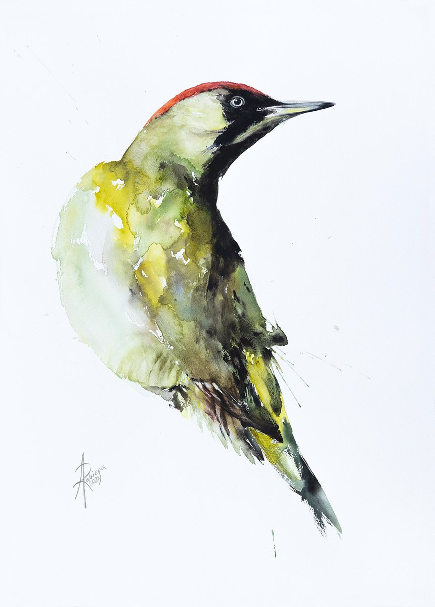 Green Woodpecker by Andrzej Rabiega