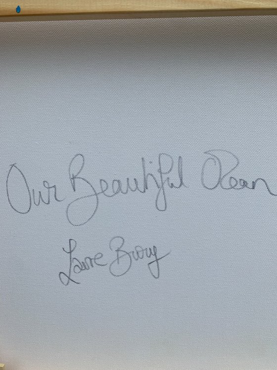 Our Beautiful Ocean