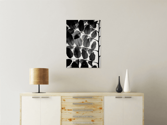 Branches and Leaves III | Limited Edition Fine Art Print 1 of 10 | 40 x 60 cm