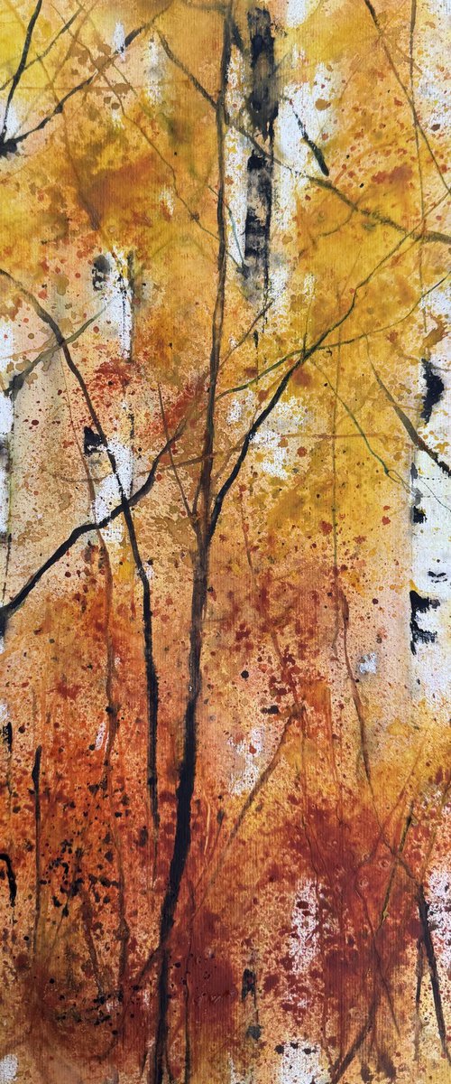 Autumn Birch trunks by Teresa Tanner
