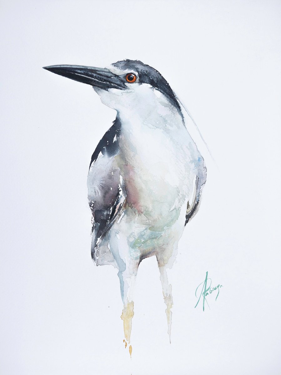 Black-crowned Night Heron by Andrzej Rabiega