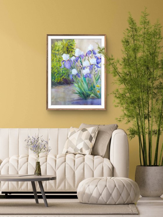 Charming irises