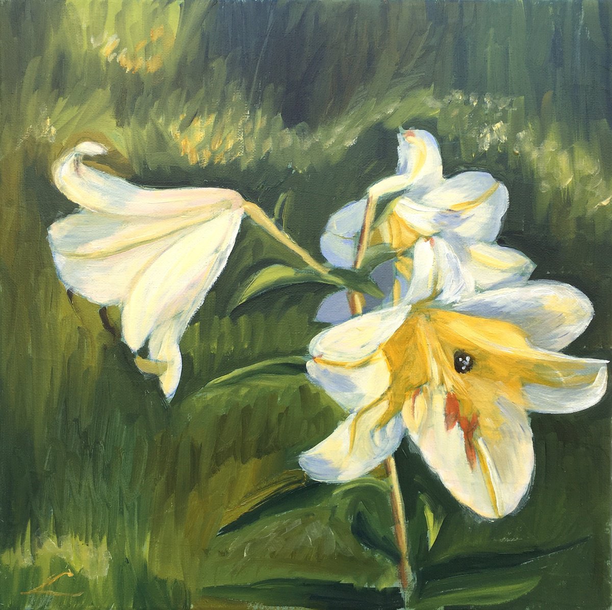Impressionistic Botanical Oil Painting By Elena Sokolova, 15 X 15, Lilies, Original Artwork
