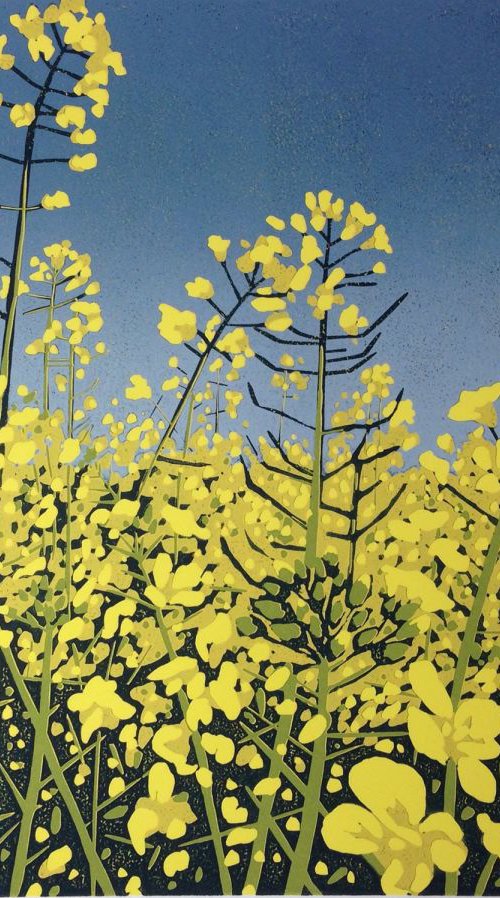 Sunshine Fields by Alexandra Buckle