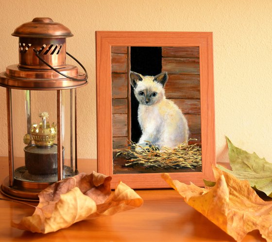 'A kitten in the barn'