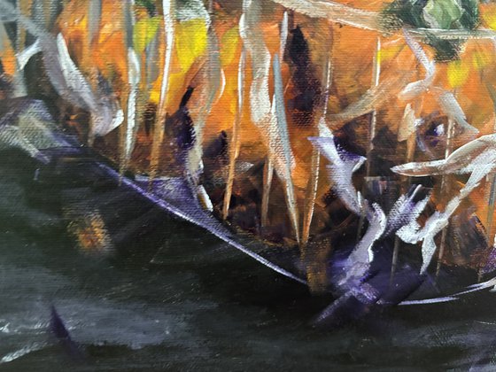 Persimmons in Plastic