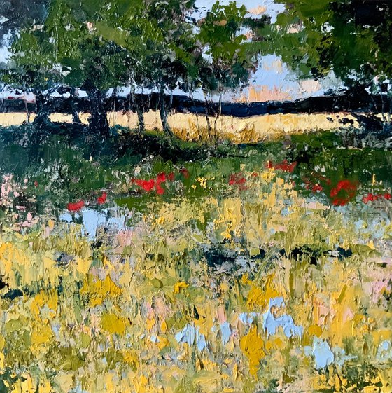 Summer Meadow in the Cotswolds