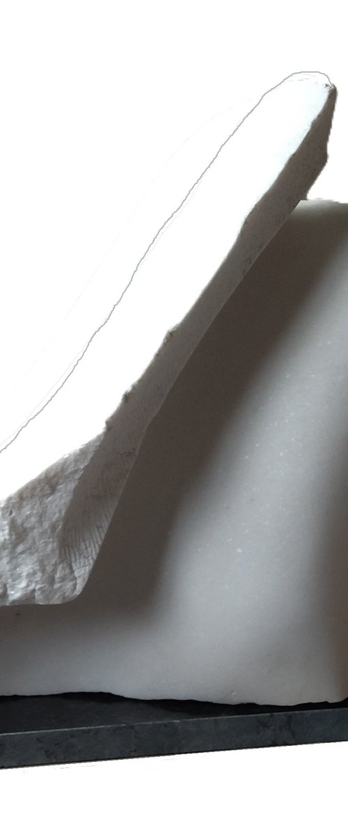 "Water" by Rasho Mitev