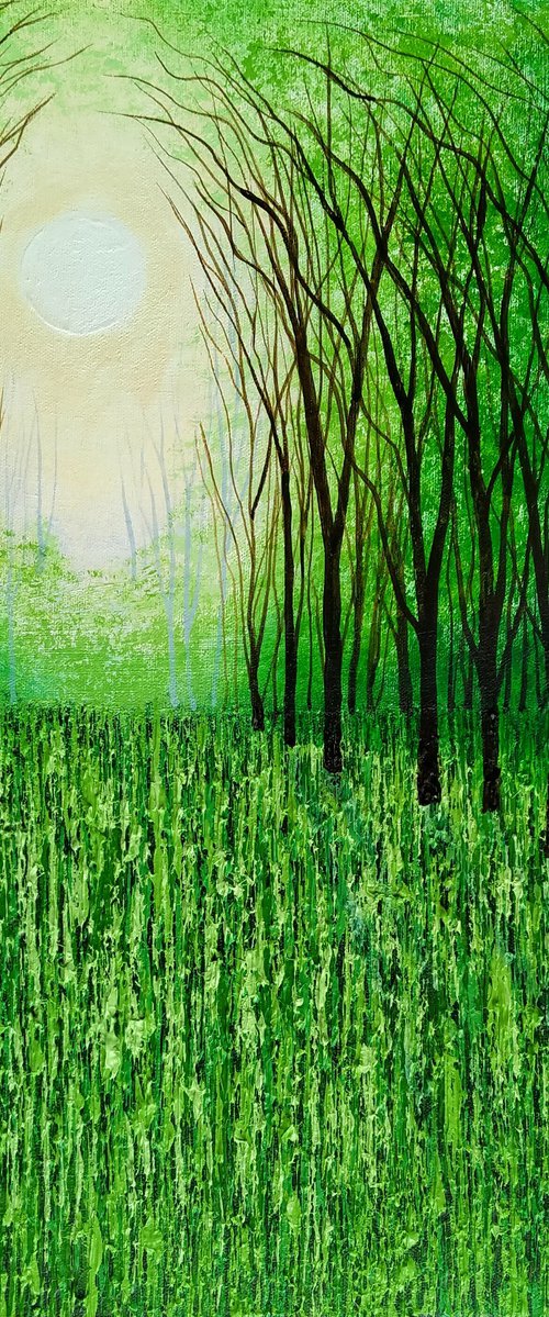 Tanglewood and Evergreen by Amanda Horvath