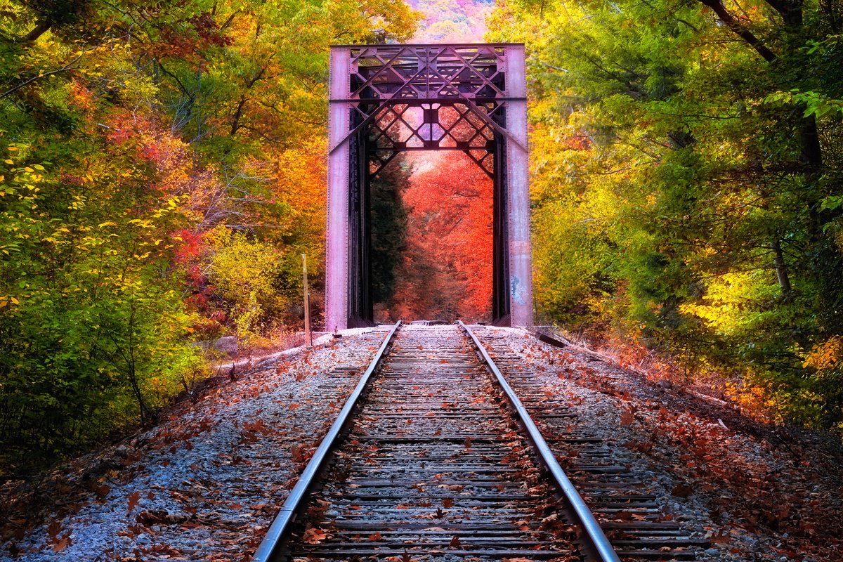 Photograph , Fourth Iron Trestle By Francois De Melogue, 25 X 17, Artwork For Sale On Artfinder