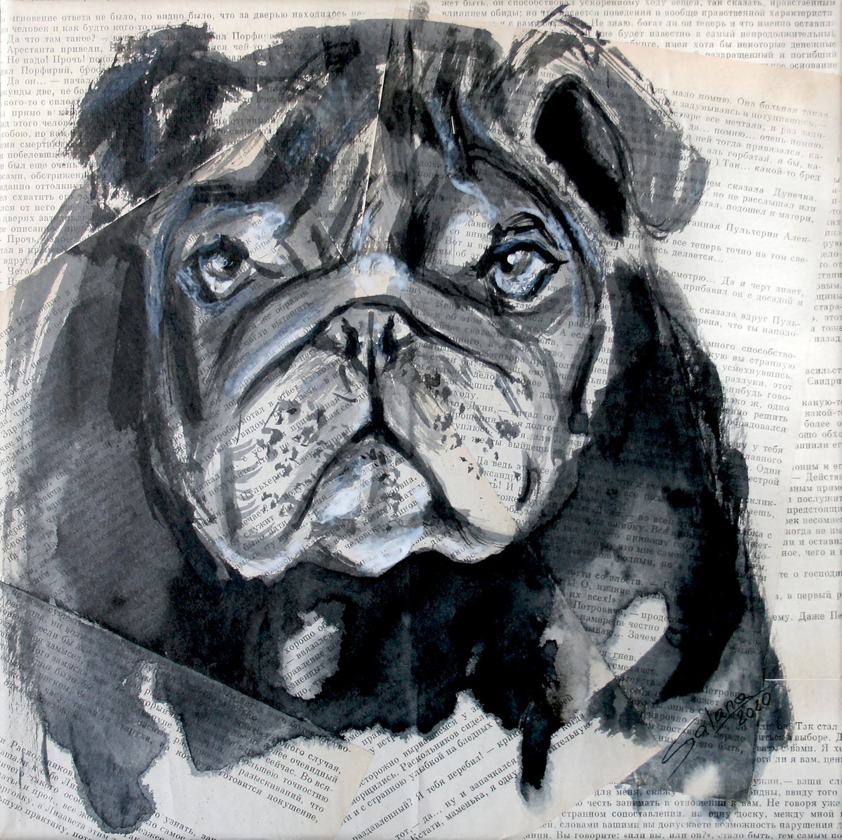 Impressionistic Animal Ink Drawing By Salana Art / Svetlana Samovarova, 12 X 12", Bulldog Ii, Original Artwork