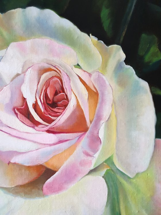 "Unusual rose"  rose flower  liGHt original painting  GIFT (2020)