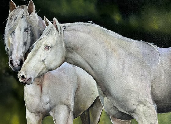 White horses