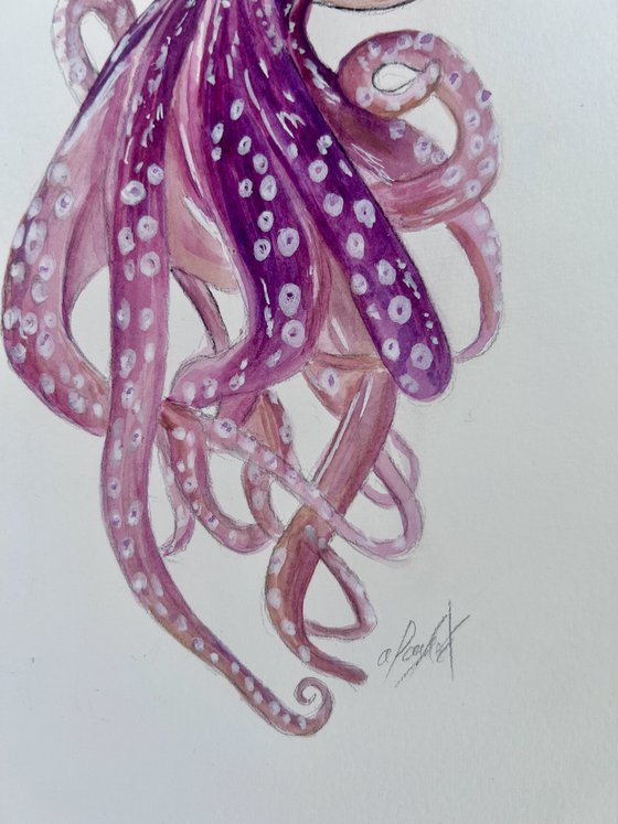 Octopus