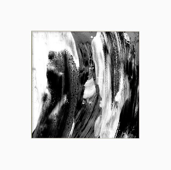 Brush Dance Collection 24