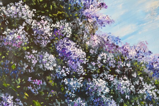 Lilac Garden