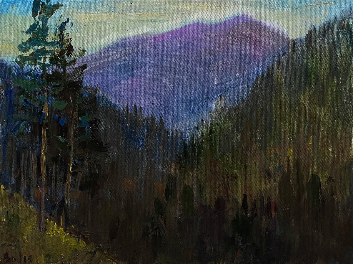 Impressionistic Landscape Oil Painting By Bohdan Dobrivskyi, 16 X 12, Mountain Landscape, Original Artwork