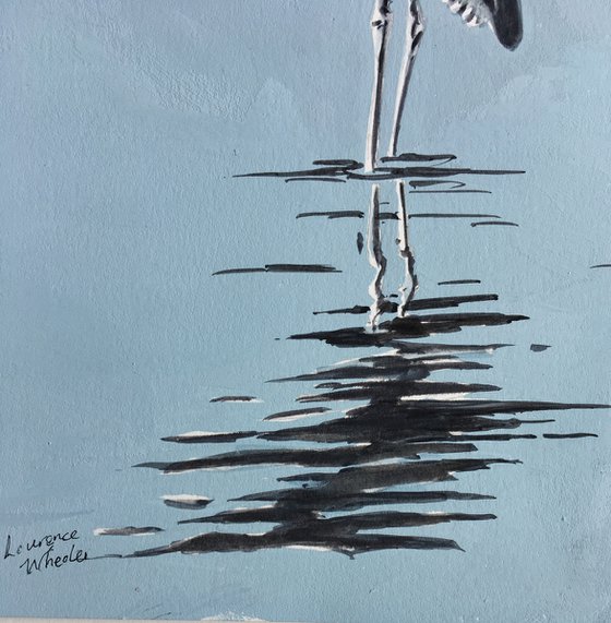 Blue Heron in Water