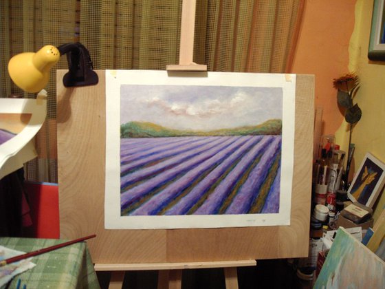 Lavender field