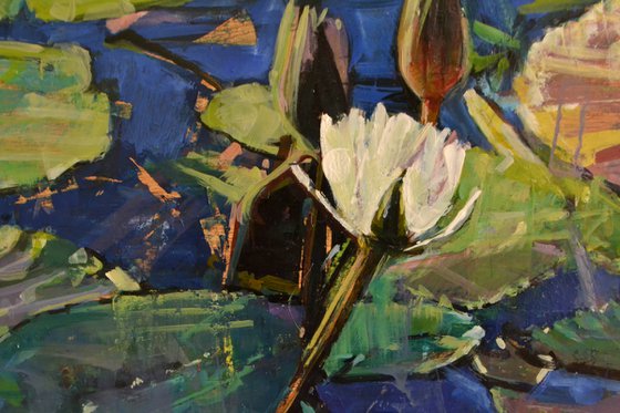 Waterlilies ( Diptych )