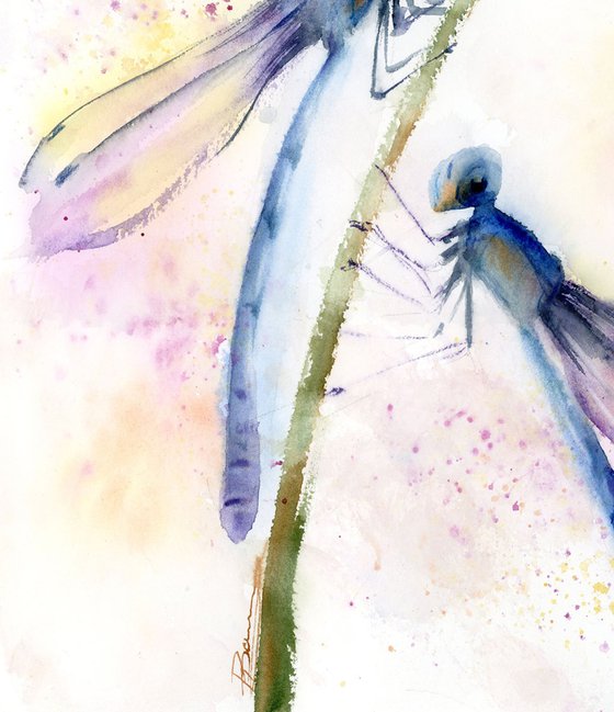 Dragonflies Diptych