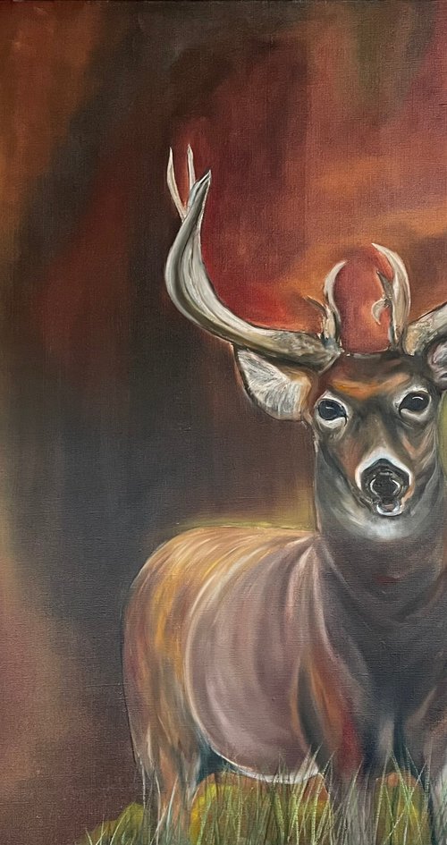 Deer by Timea  Valsami