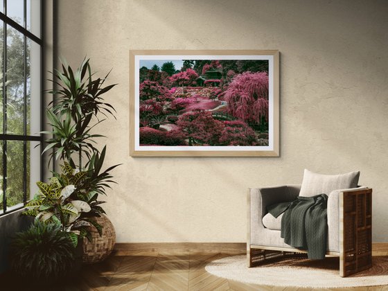 ZEN GARDEN I