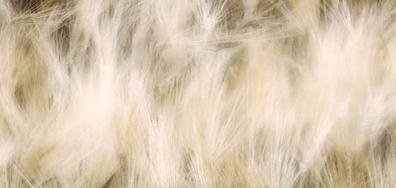 Dancing grains (studio 6)
