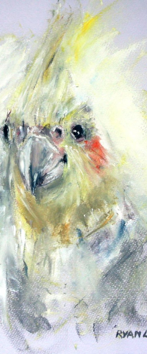 Cockatiel by Ryan  Louder