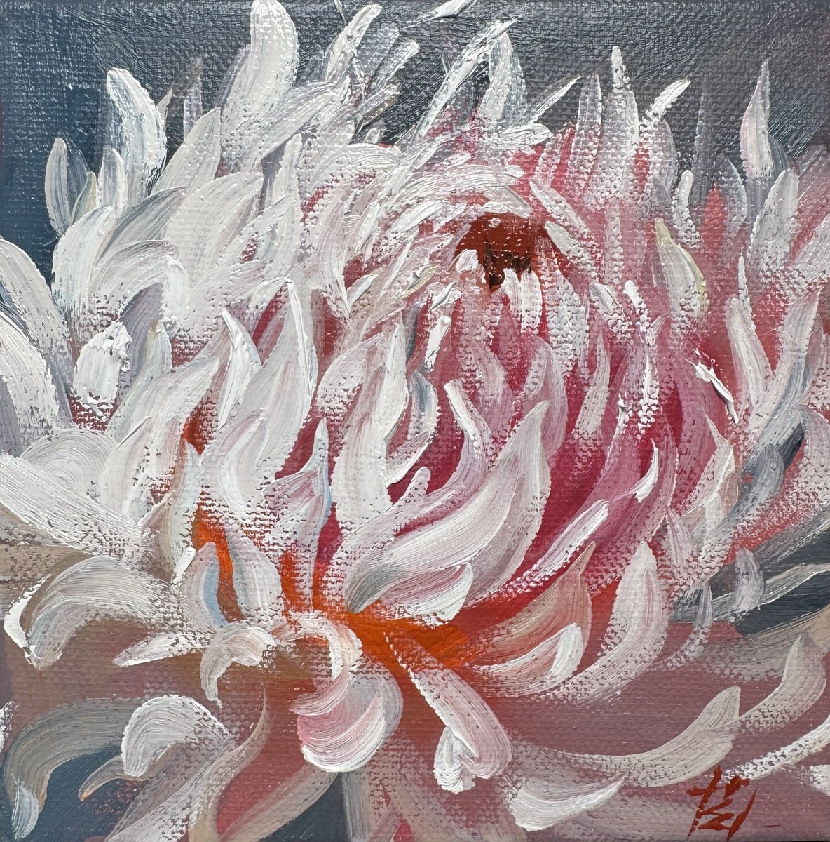 Hedgehog By Olena Hromova, 6 X 6, Artwork For Sale On Artfinder