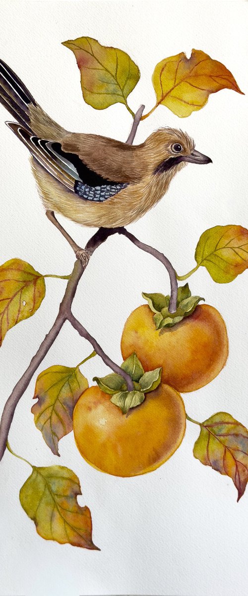 Jay on a Persimmon Branch by Yuliia Malkina Bohuslavska