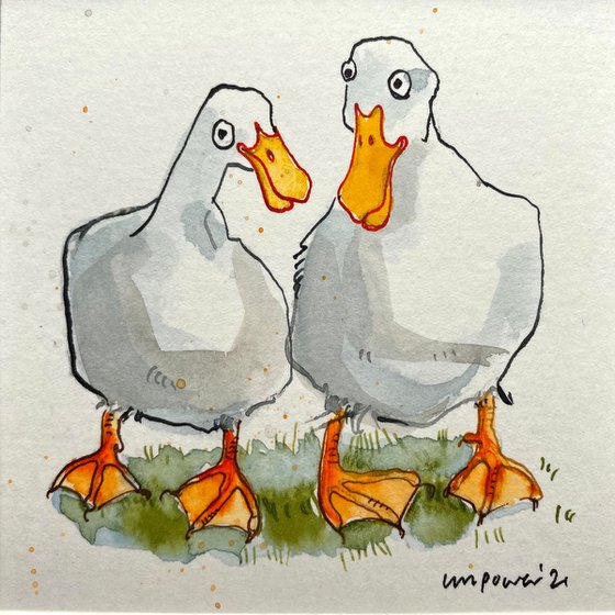 Duck Buddies #01