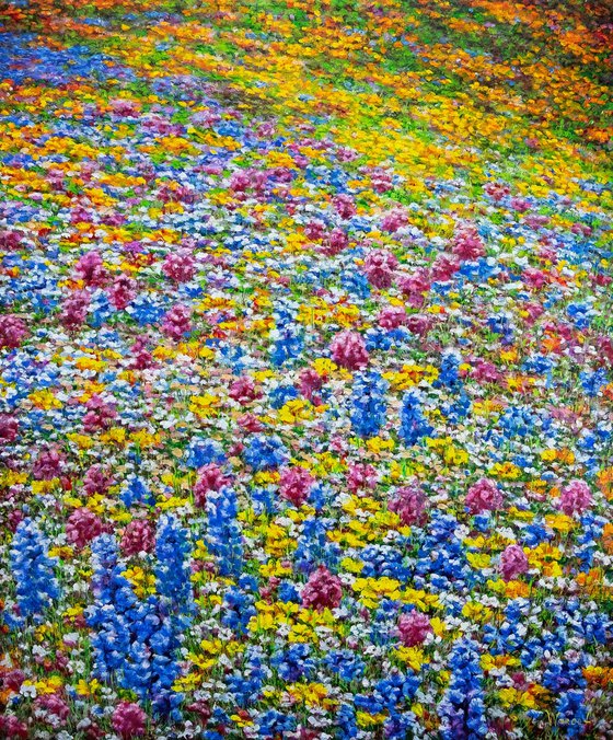 A Field of Flowers.