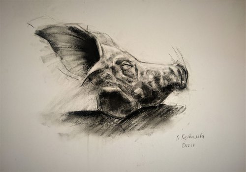 Still Life , pigs head by Katerina Kovalova