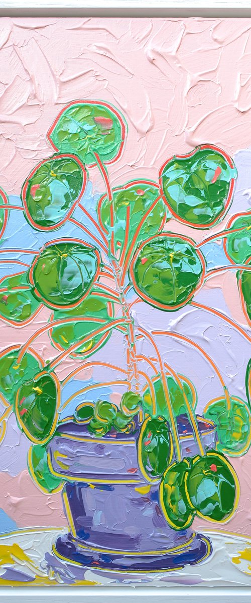 Pilea Peperomioides Still Life 2 by Joseph Villanueva