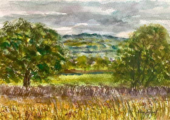 Summer pastures