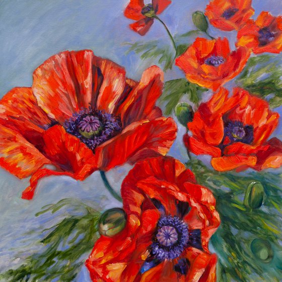 Poppies