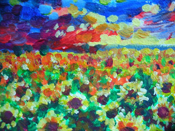 Sunflower fields 1