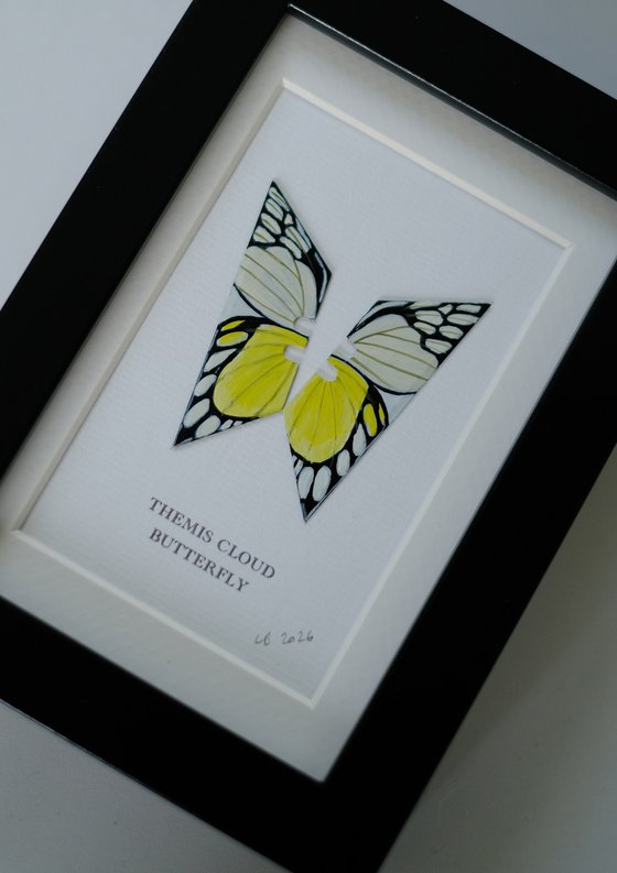 Themis Cloud butterfly