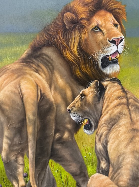African Savannah