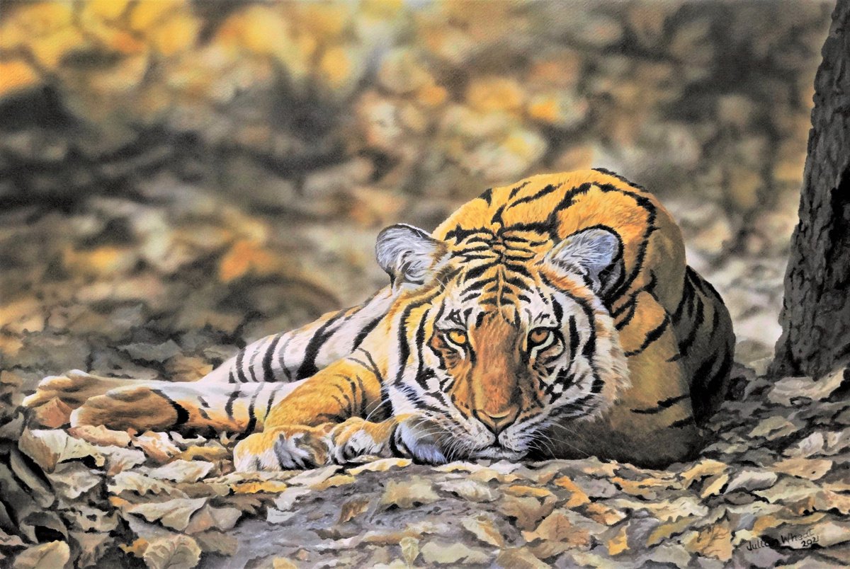 Woodland Tiger by Julian Wheat