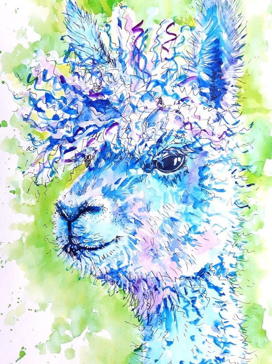 "Funky Alpaca"