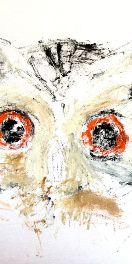Owl Eyes by Ryan  Louder