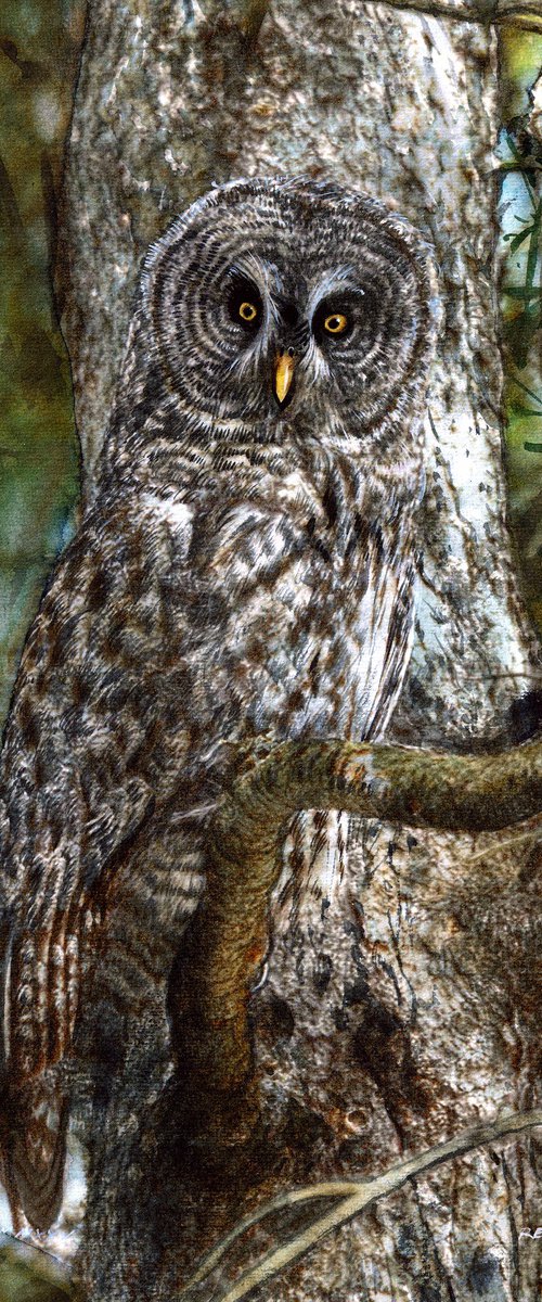 Owl by REME Jr.