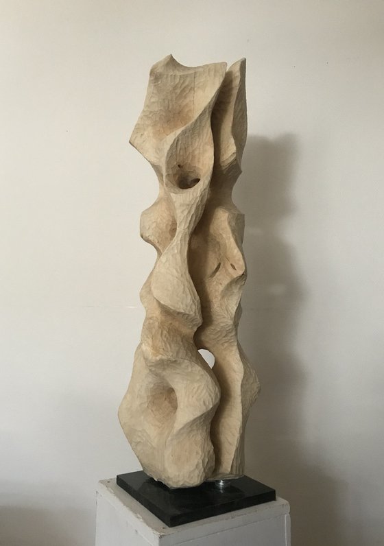 Betula