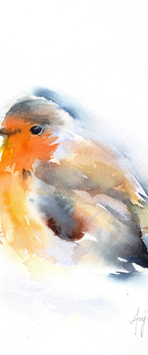 Robin by Anjana Cawdell