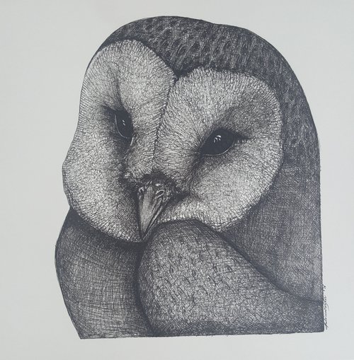 Owl #3 by Maja Tulimowska - Chmielewska