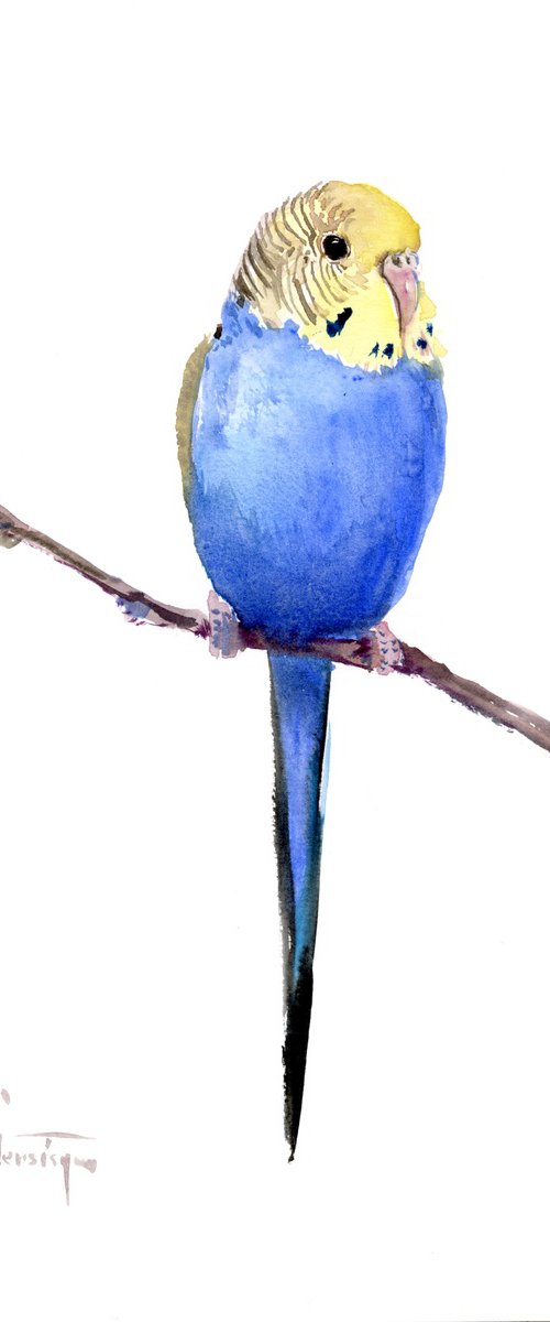 Budgie, blue Parakeet painting by Suren Nersisyan