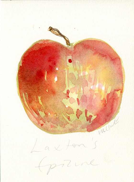 Laxton's Epicure Apple Watercolour